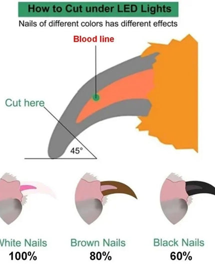 Pet Nail Clippers With LED Light Dogs Cat Nail Scissors Professional Trimmer Tool Care Grooming Supplies