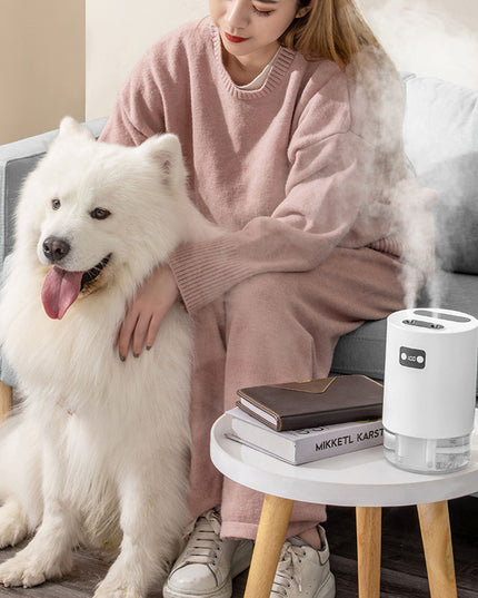 Lifting Fan Humidifier Office Bedroom Air Purifier USB Charging Kawaii Air Humidifier Dual Spray with Remote Control