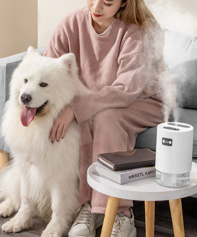 Lifting Fan Humidifier Office Bedroom Air Purifier USB Charging Kawaii Air Humidifier Dual Spray with Remote Control