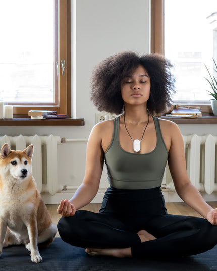 Hanging Neck Portable Air Purifier