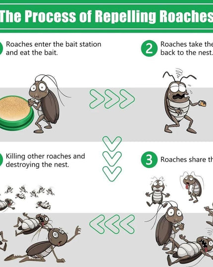 Cockroach Killer Gel (Pack of 2)