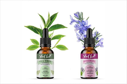 Slacha Tea Tree & Rosemary Essential Oil | 100% Pure & Natural | Steam Distilled | For Hair Growth, Skin Care & Relaxation | 15ML (Pack of 2)  (BUY 1 PACK GET 1 FREE)