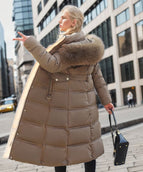 Brown With Smooth Color