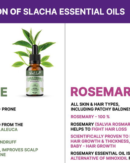 Slacha Tea Tree & Rosemary Essential Oil | 100% Pure & Natural | Steam Distilled | For Hair Growth, Skin Care & Relaxation | 15ML (Pack of 2)  (BUY 1 PACK GET 1 FREE)