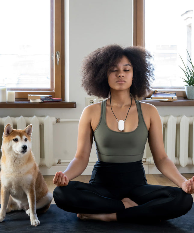 Hanging Neck Portable Air Purifier